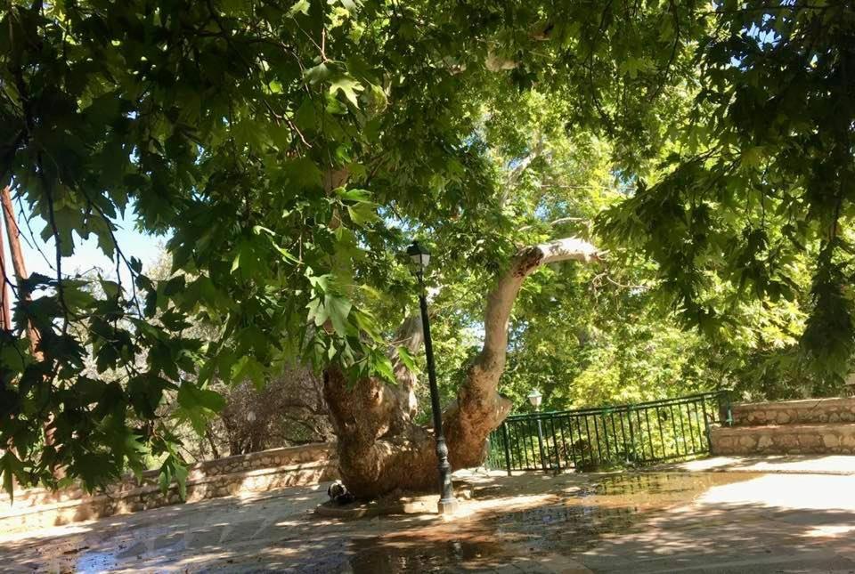 Ioli'S Apartments Archangelos  Exterior photo